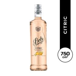 Gin Bols 6 Citric 750 Ml
