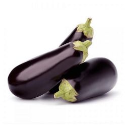 BERENJENA NEGRA